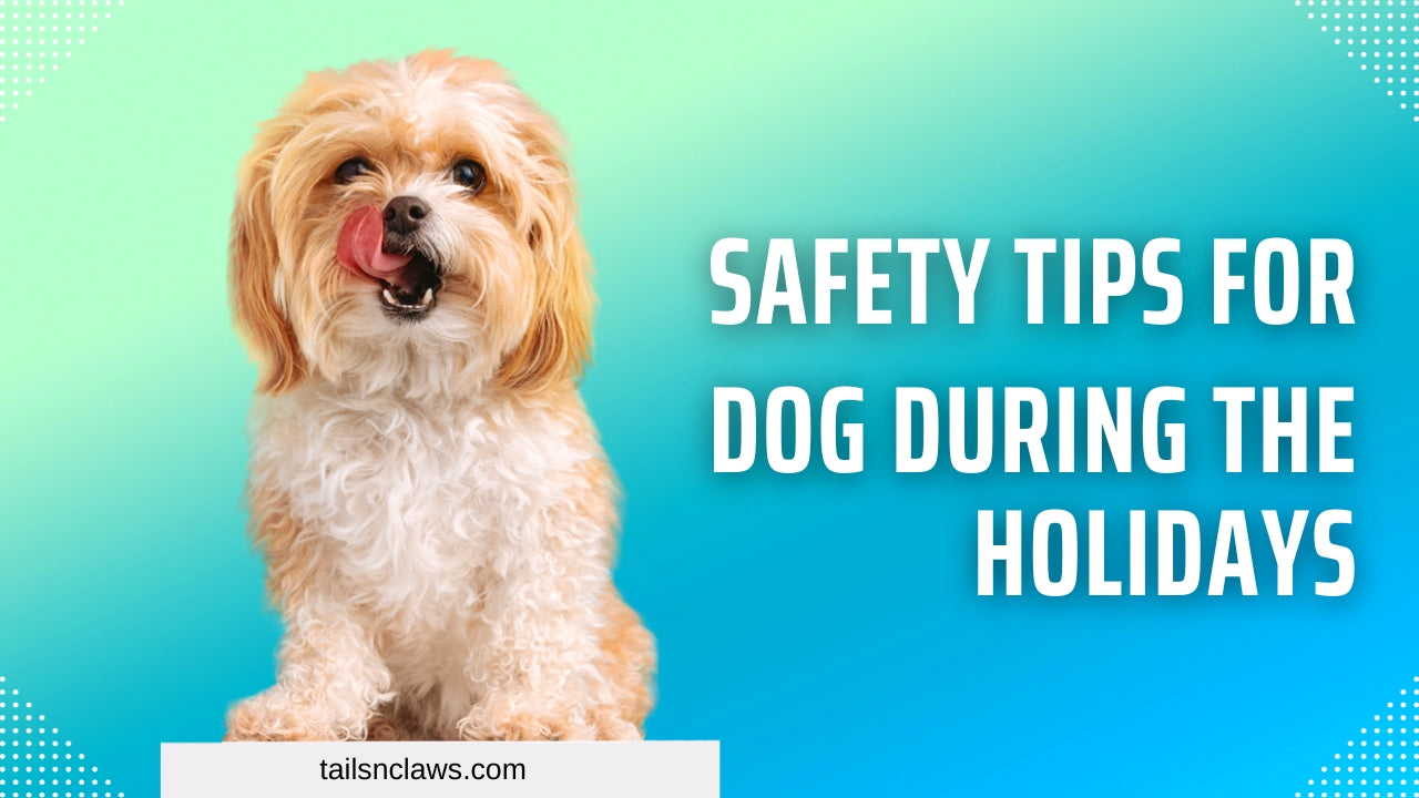 Safety Tips for You and Your Dog During the Holidays