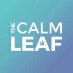 The Calm Leaf Profile Picture