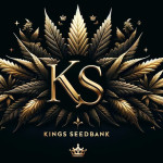 Kings Seedbank Profile Picture