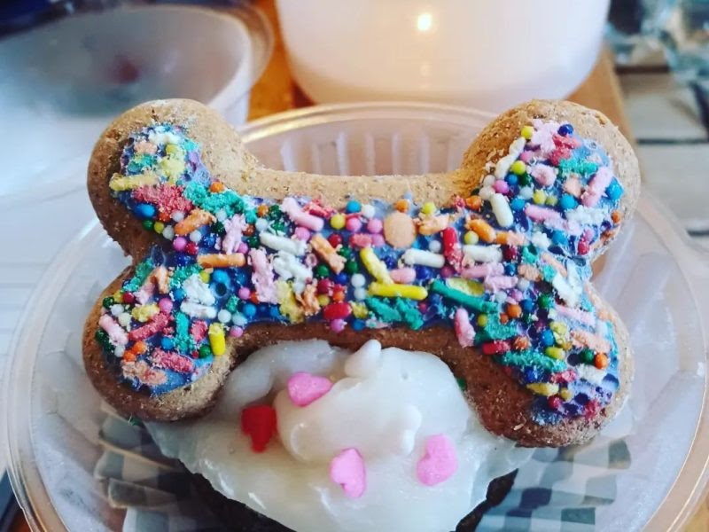 Melmos DogTreats: Introduces Organic Dog Biscuits and Cakes for Dogs in Pennsylvania