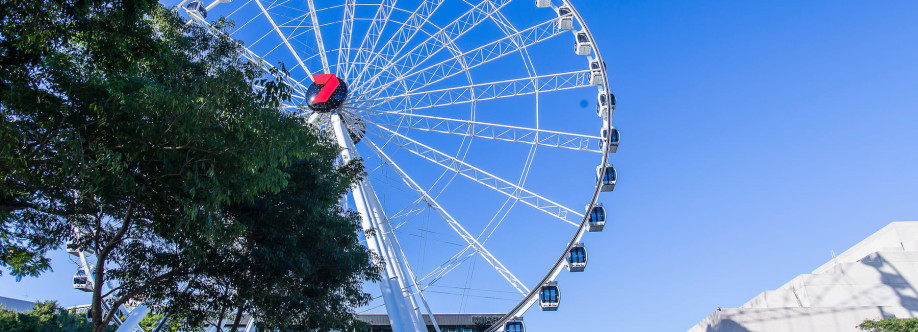 The Wheel of Brisbane Cover Image