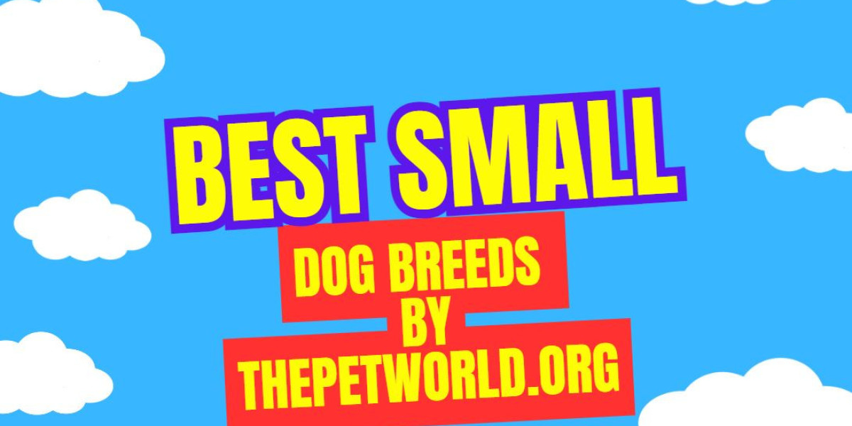 Trusted Small Dog Breeds for Compact Living: ThePetWorld.org Insights